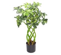 70cm Artificial Plant Bonsai Bush Twisted Stem Golden Capella Leaf Green One Size