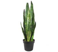 70cm Artificial Sansevieria Zeylanica Plant