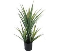 70cm Artificial Yucca Plant