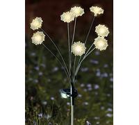 70cm Daisy Solar Garden Lights Outdoor, 8 Stem LED Flower Stake Light | Warm White Fairy Lights, Solar Powered Garden Pathway Lights for Borders, Lawns, Flower Beds, Plant Pots & Autumn Decor