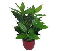 70Cm Leaf Design UK Realistic Large Artificial Foliage Plant With Pot