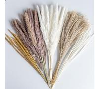 70PCS Natural Dried Pampas Grass Boho Home Decor Bouquet Phragmites Dried Flowers Bouquet for Wedding Floral Arrangements Home Decorations (70PCS)