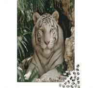 70x50cm/1000pcsPuzzles, Puzzles Für Erwachsene Und Teenager White Tiger Resting in The Green Jungle