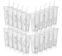 710 ml Bible Verse Cups with Lids and Straws 20 Pcs Plastic Christian Tumbler Religious Coffee Mug Easter Social Worker Gift Mother Gift for Sunday School Church Baptism - Transparent Colors