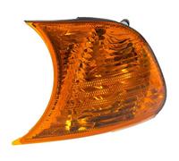 MAGNETI MARELLI 710311329011 Side indicator