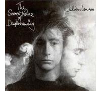 7108359 LP The Secret Value Of Daydreaming VINYL