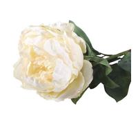 71Cm Single Peony Cream - White