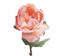 71Cm Single Peony - Peach Artificial Flowers