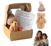 71Nmly Worry Bear Hug in a Box,A Little Pocket Bear Hug,Mini Worry Bears with Inspirational Card,Handmade Mini Plush Teddy Bears in Box,Bears Doll,Positive Gifts for Kids,Friends(1 PCS)