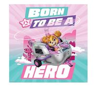 72" x 72" Paw Patrol Girl Party Skye Polyester Backdrop