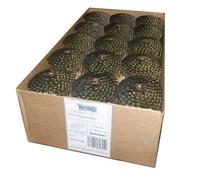 7200 Roofing Felt Nails 3.1 x 25 mm Ring Hot-Dip Galvanised Coil Nails for 16° Roofing Felt Nailers