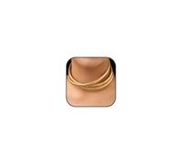 72ore Chunky Gold Necklace for Women Layered Collar Necklace Gold Statement Necklace Exaggerated Choker Necklace Trendy Jewelry Gift for Women, Metal, No Gemstone