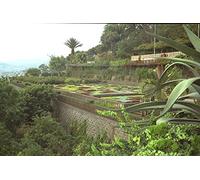 735064 Funchal Madeira Portugal A4 Photo Poster Print 10x8