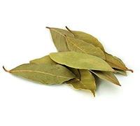 750 Grams | Pure Organic Indian Bay Leaves Organic Sold by Indian Masaale Wala