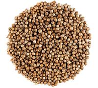750 Grams / Whole Coriander Seeds Cooking Spice Sold by Indian Masaale Wala