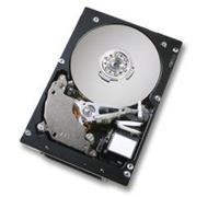 750GB 7200 RPM 3.5 Simple-Swap SATA II