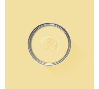 FARROW & BALL NEW DEAD FLAT 233 DAYROOM YELLOW 750ML
