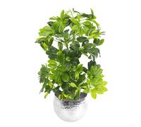 Leaf Design 75cm Artificial Arboricola Gold Capella Plant with Silver Metal Planter