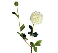 75cm Artificial Dahlia PomPom Flowers Cream