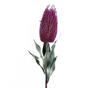75cm Banksia Menziesii Pink Flower Stem Artificial