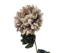 75cm Extra Large Reflex Chrysanthemum - Mushroom