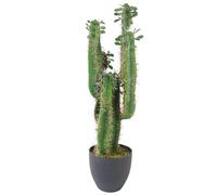75cm Premium Artificial Cactus with pot