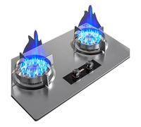 75CM Stainless Steel Gas Stove Double Burner Outdoor Gas Stove Propane Cooker 8.5kW Thick Square Stainless Steel Stove(LPG)