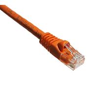 75Ft Cat6 550Mhz Patch