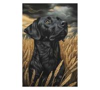 75x50cm/1000pcs Jigsaw Puzzles for Adults Black Lab in Wheat Field Adult Jigsaw Puzzle Hands-on Game Enhance Memory Birthday And Unique Gifts 75x50cm/1000pcs