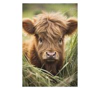 75x50cm/1000pcs Jigsaw Puzzles for Adults Cute Baby Scottish Cow Adult Puzzles Brain Teaser Game Precision Cutting Difficult And Challenge 75x50cm/1000pcs