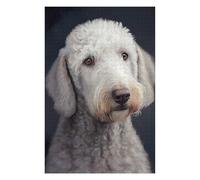 75x50cm/1000pcs Jigsaw Puzzles for Adults Jigsaw Bedlington Terrier Puzzles for Adults Brain Teaser Game Wall Art Christmas Birthday Gifts 75x50cm/1000pcs