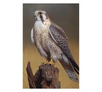75x50cm/1000pcs Jigsaw Puzzles for Adults Prairie Falcon Oil Paint Jigsaw Puzzle Hands-on Game Wall Art Unique Gifts for Birthday And Christmas 75x50cm/1000pcs