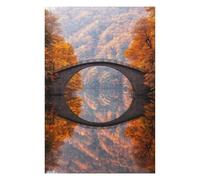 75x50cm/1000pcs Jigsaw Puzzles for Adults Stone Arch Bridge Reflection Adult Jigsaw Relax Games For Family Fun Unique Gifts for Birthday And Christmas 75x50cm/1000pcs
