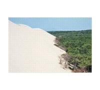 75x50cm/1000pcs Jigsaws Adults Puzzles Gifts Sand Against Forest Puzzles for Adults Relaxing Games A Work of Art Gifts for Friends And Family 75x50cm/1000pcs