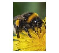 75x50cm/1000pcs Puzzles for Adults Bumblebee on Yellow Flower Puzzle for Adults Hands-on Game A Work of Art Unique Gifts for Birthday And Christmas 75x50cm/1000pcs