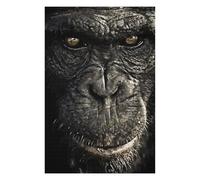 75x50cm/1000pcs Puzzles for Adults Great KingKong Teenagers Puzzles Hands-on Game Enhance Memory Unique Gifts for Birthday And Christmas 75x50cm/1000pcs