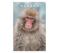 75x50cm/1000pcs Puzzles for Teenagerss Nagano Monkey Adult Puzzles Hands-on Game Pattern Assembly Unique Birthday And Gifts 75x50cm/1000pcs