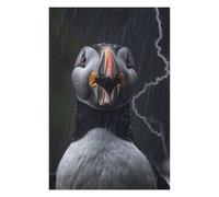 75x50cm/1000pcs Teenagers Pieces Jigsaw Puzzle Atlantic Puffin Lightning Puzzles for Adults Hands-on Game Perfect Decoration Challenging To Complete 75x50cm/1000pcs