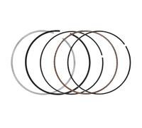 76mm Motorcycle Engine Piston Rings Compatible With CBR250R ABS 2011-2018 CRF250L 2013-2016 CB300F 2015-2018 CB300R 2019-2024 Fits Various 250cc 300cc Models(2pc)