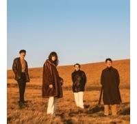 777 Music - When You Go Away - Vinyl Record - E1398z