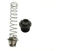 777070010 Thermal Regulator for Pool and SPA Heater Accessories, Designed to Improve Heating System Stability and Temperature Accuracy