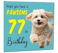 77th Birthday Card for Men Women Dog Pawsome Birthday Card for 77 Year old Woman Nan Grandma Mum Aunt Ladies Nan Friend Sister Seventy Seven Seventy Seventh Nanny