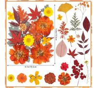 78 Pcs Fall Dried Pressed Flowers with Tweezer, Fall Themed Real Dried Flowers Leaves for DIY Crafts Resin Molds, Yellow Orange Dried Flowers for Autumn Halloween Thanksgiving Decorations