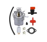 796109 Carburetor 591731 594593 590400 796078 498811 794161 carbs