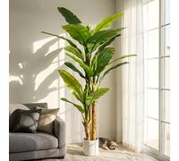 7ft Artificial Banana Tree Extra Tall Fake Plants Indoor for Living Room Large Faux Tree High End Realistic Floor Plant Big Silk Tree for Home Office Pet Friendly Large Indoor Plant Tropical Decor