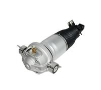 7L8616001 7L8616002 7L6616503B Rear Air Suspension Strut Shock Absorber For A-u-d-i Q7 P-o-r-s-c-h-e Cayenne VW T-o-u-a-r-e-g (Rear Left)