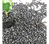 7lb River Rocks Pebbles for Plants & Succulents, Decorative Outdoor Landscaping Garden Rocks, Natural Small Mexican Beach Pebbles Aquarium Rocks Gravel for Fish Tanks Vase Yard Decor…