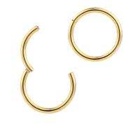(7mm 16G) 2PCS Titanium Implant Grade Septum Jewellery Hinged Segment Ring Body Piercing Hoop Lip Rings Helix Cartilage Rook Sleeper Earrings Nickel Free Hypoallergenic