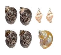 7PCS Hermit Crab Shells Turbo Shells for Small Medium and Large Crabs Turbo Seashells Natural Sea Conch Size 0.5" - 1.6"
