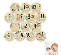 7pcs Milestone Baby Cards ,Double-Sided Wooden Milestone Baby Cards,Monthly Newborn Welcome Signs, 10cm Round Month Baby Milestone Signs For New Parents Gift Set